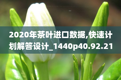 2020年茶叶进口数据,快速计划解答设计_1440p40.92.21