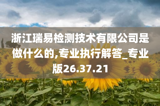 浙江瑞易检测技术有限公司是做什么的,专业执行解答_专业版26.37.21