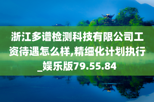 浙江多谱检测科技有限公司工资待遇怎么样,精细化计划执行_娱乐版79.55.84