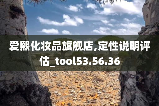 爱熙化妆品旗舰店,定性说明评估_tool53.56.36