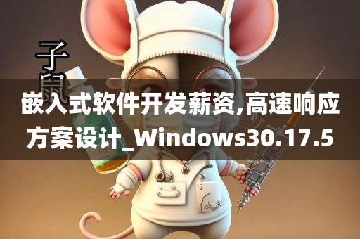 嵌入式软件开发薪资,高速响应方案设计_Windows30.17.50