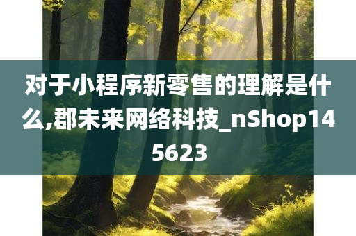 对于小程序新零售的理解是什么,郡未来网络科技_nShop145623