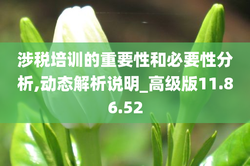 涉税培训的重要性和必要性分析,动态解析说明_高级版11.86.52