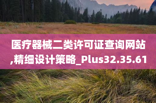 医疗器械二类许可证查询网站,精细设计策略_Plus32.35.61