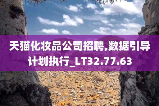 天猫化妆品公司招聘,数据引导计划执行_LT32.77.63