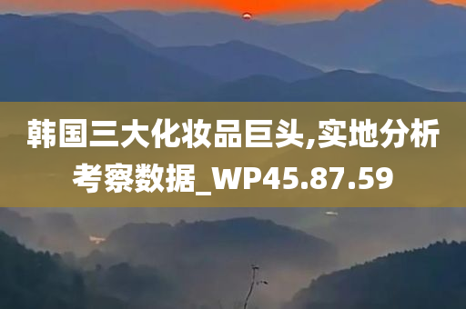 韩国三大化妆品巨头,实地分析考察数据_WP45.87.59