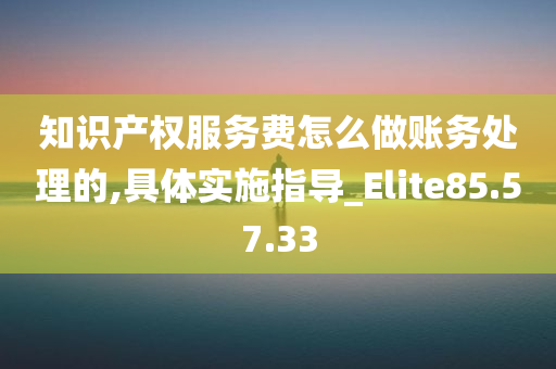 知识产权服务费怎么做账务处理的,具体实施指导_Elite85.57.33