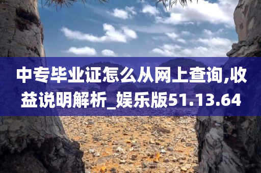 中专毕业证怎么从网上查询,收益说明解析_娱乐版51.13.64