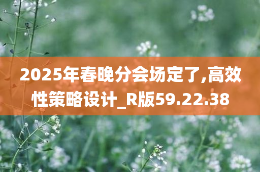 2025年春晚分会场定了,高效性策略设计_R版59.22.38