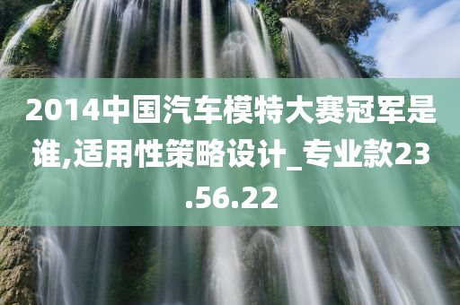 2014中国汽车模特大赛冠军是谁,适用性策略设计_专业款23.56.22