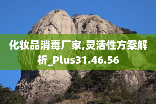 化妆品消毒厂家,灵活性方案解析_Plus31.46.56