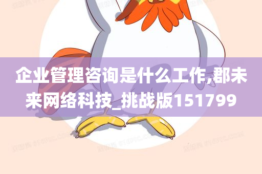 企业管理咨询是什么工作,郡未来网络科技_挑战版151799