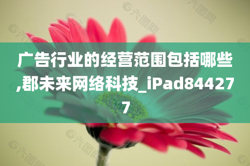 广告行业的经营范围包括哪些,郡未来网络科技_iPad844277