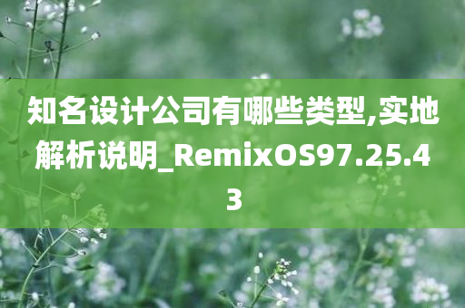 知名设计公司有哪些类型,实地解析说明_RemixOS97.25.43