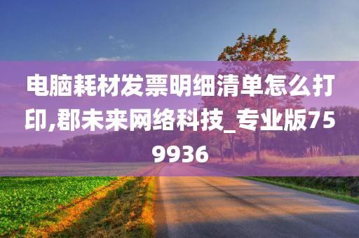 电脑耗材发票明细清单怎么打印,郡未来网络科技_专业版759936