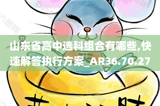 山东省高中选科组合有哪些,快速解答执行方案_AR36.70.27