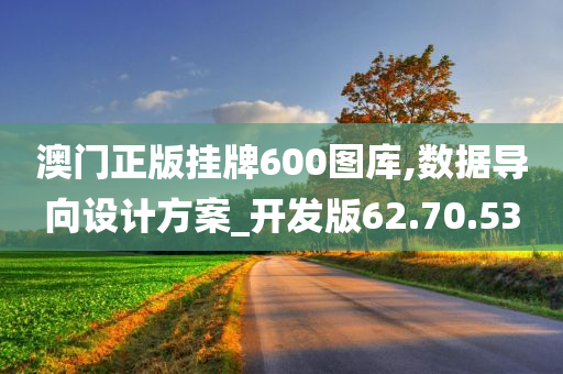 澳门正版挂牌600图库,数据导向设计方案_开发版62.70.53