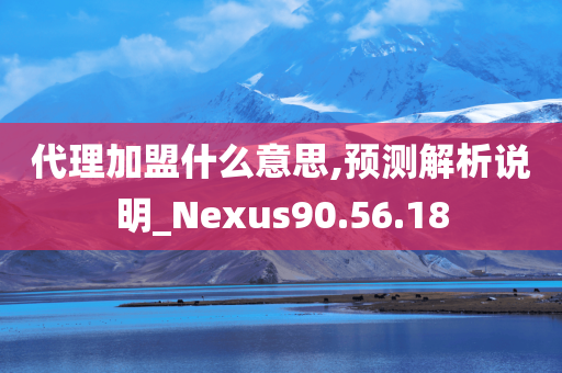 代理加盟什么意思,预测解析说明_Nexus90.56.18