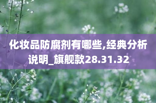 化妆品防腐剂有哪些,经典分析说明_旗舰款28.31.32