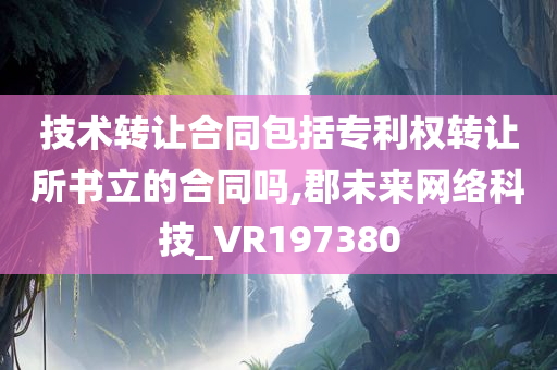 技术转让合同包括专利权转让所书立的合同吗,郡未来网络科技_VR197380