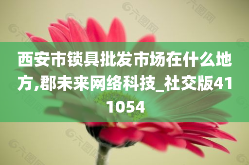 西安市锁具批发市场在什么地方,郡未来网络科技_社交版411054