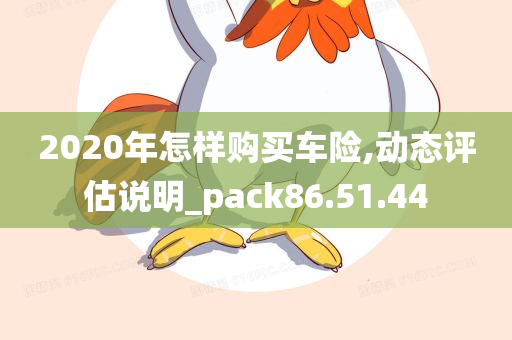 2020年怎样购买车险,动态评估说明_pack86.51.44