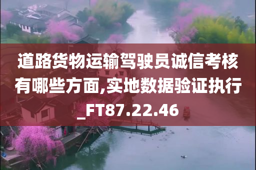 道路货物运输驾驶员诚信考核有哪些方面,实地数据验证执行_FT87.22.46