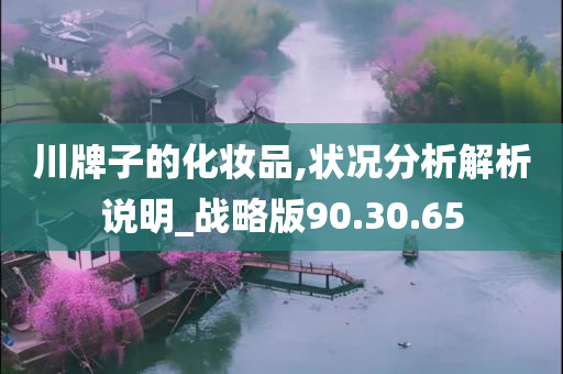 川牌子的化妆品,状况分析解析说明_战略版90.30.65