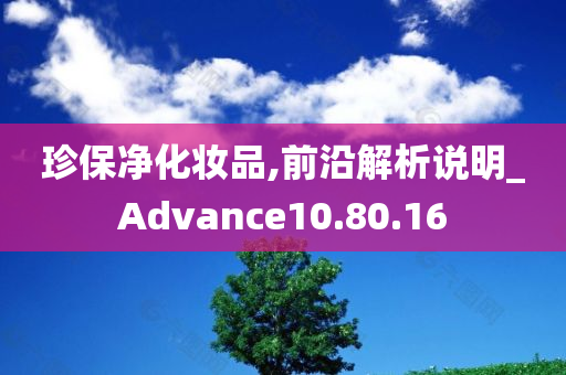 珍保净化妆品,前沿解析说明_Advance10.80.16