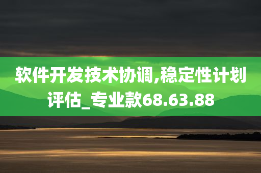 软件开发技术协调,稳定性计划评估_专业款68.63.88