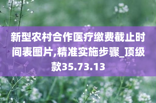 新型农村合作医疗缴费截止时间表图片,精准实施步骤_顶级款35.73.13