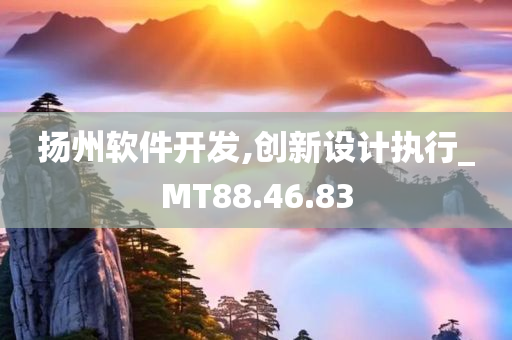 扬州软件开发,创新设计执行_MT88.46.83