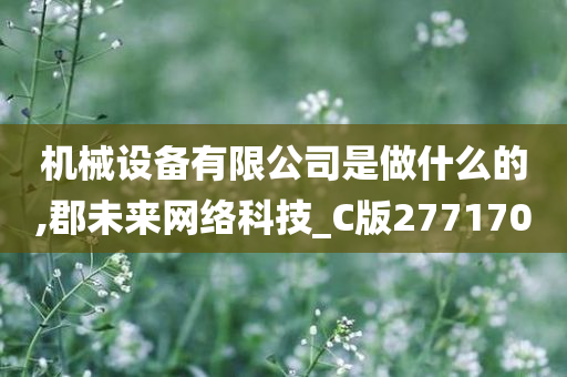 机械设备有限公司是做什么的,郡未来网络科技_C版277170