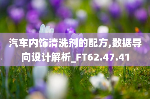 汽车内饰清洗剂的配方,数据导向设计解析_FT62.47.41