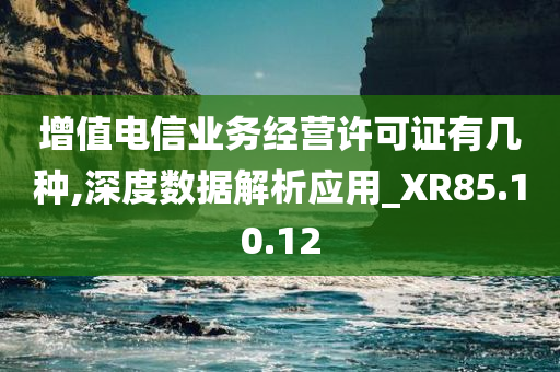 增值电信业务经营许可证有几种,深度数据解析应用_XR85.10.12