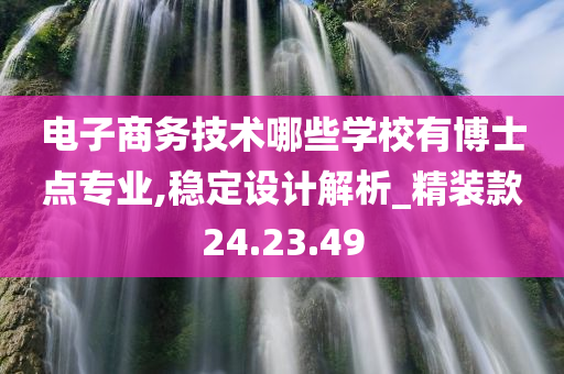 电子商务技术哪些学校有博士点专业,稳定设计解析_精装款24.23.49