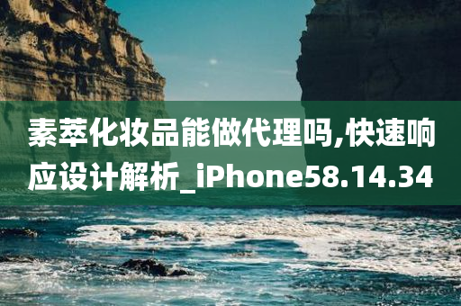 素萃化妆品能做代理吗,快速响应设计解析_iPhone58.14.34