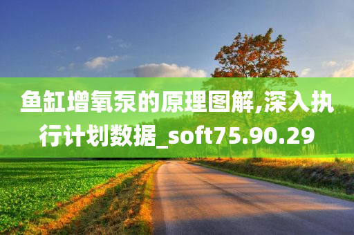 鱼缸增氧泵的原理图解,深入执行计划数据_soft75.90.29