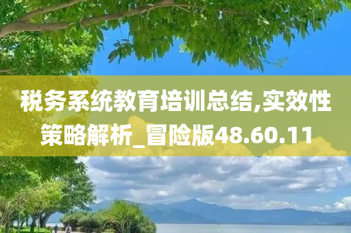 税务系统教育培训总结,实效性策略解析_冒险版48.60.11