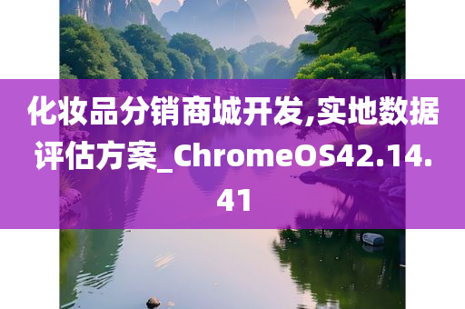 化妆品分销商城开发,实地数据评估方案_ChromeOS42.14.41