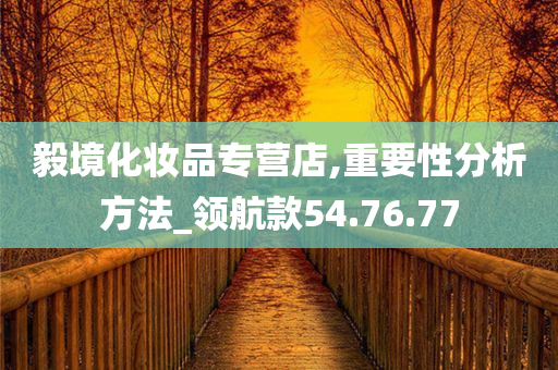 毅境化妆品专营店,重要性分析方法_领航款54.76.77