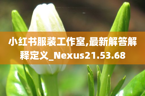 小红书服装工作室,最新解答解释定义_Nexus21.53.68