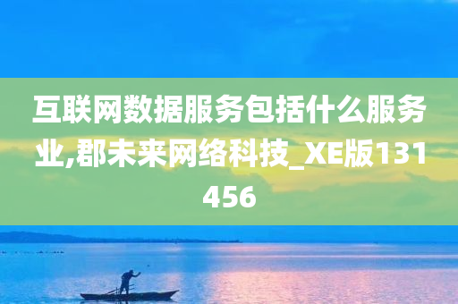 互联网数据服务包括什么服务业,郡未来网络科技_XE版131456