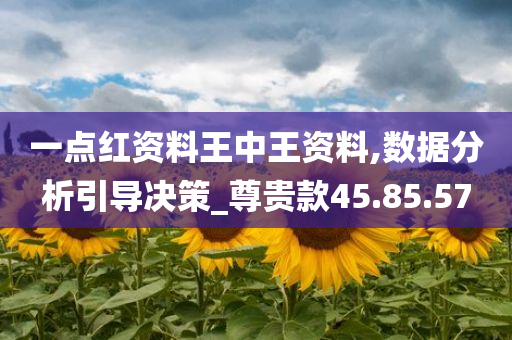 一点红资料王中王资料,数据分析引导决策_尊贵款45.85.57