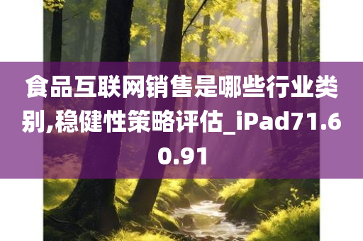 食品互联网销售是哪些行业类别,稳健性策略评估_iPad71.60.91