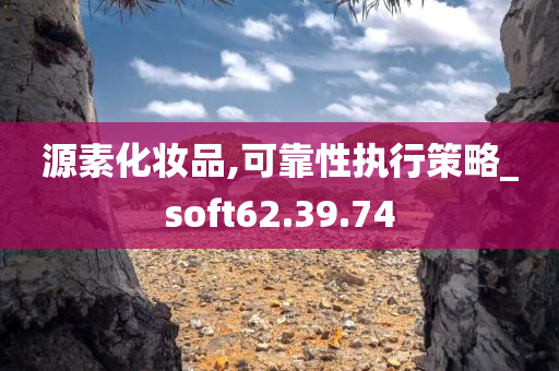 源素化妆品,可靠性执行策略_soft62.39.74