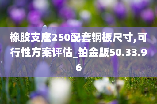 橡胶支座250配套钢板尺寸,可行性方案评估_铂金版50.33.96