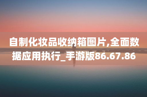 自制化妆品收纳箱图片,全面数据应用执行_手游版86.67.86