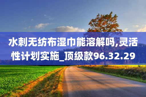 水刺无纺布湿巾能溶解吗,灵活性计划实施_顶级款96.32.29