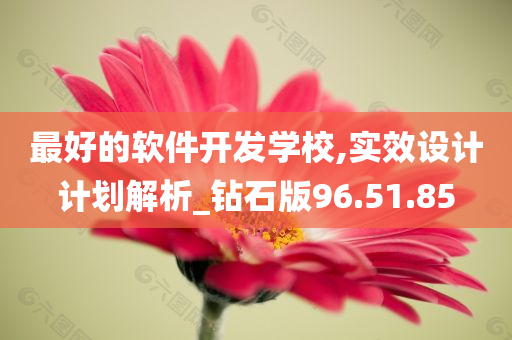 最好的软件开发学校,实效设计计划解析_钻石版96.51.85